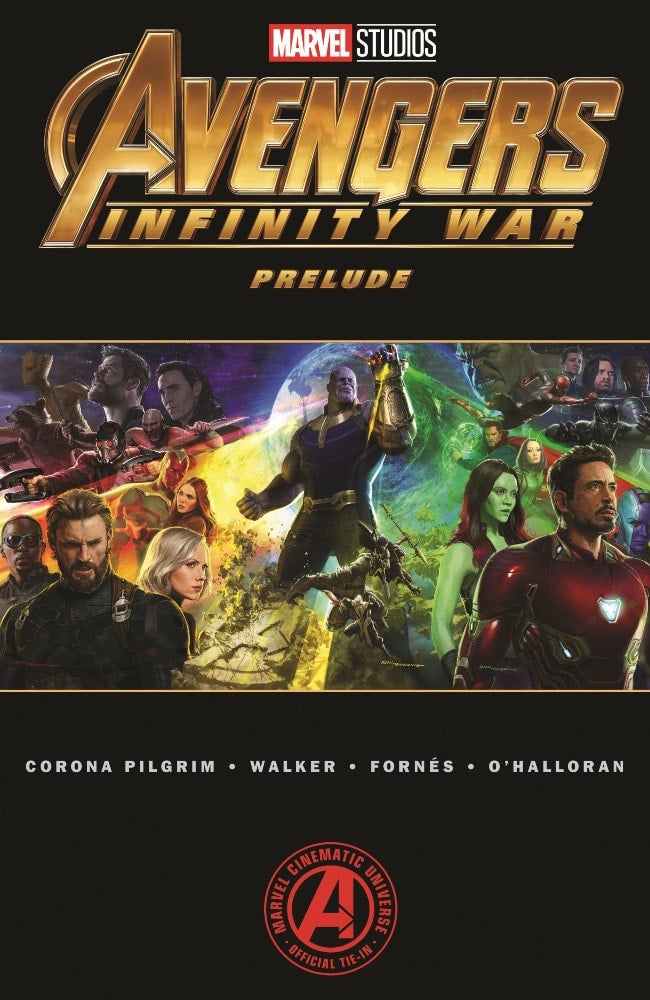 Original Avengers: Infinity War Movie Poster - Iron Man - Captain America